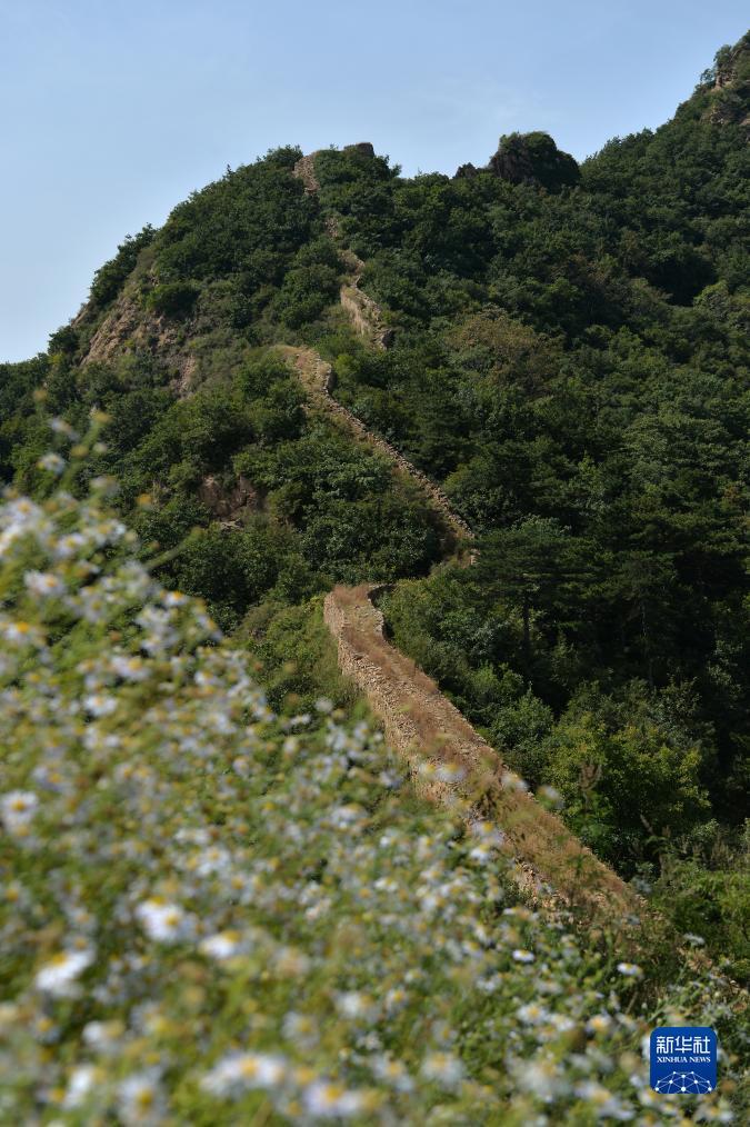 富贵鸟麻将机